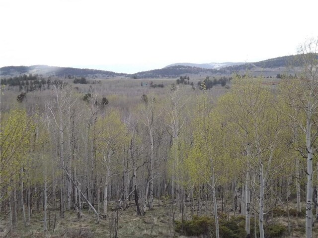 824 Palmer Peak Dr, Fairplay, CO 80440 - photo 33