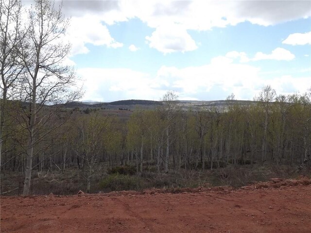 824 Palmer Peak Dr, Fairplay, CO 80440 - photo 36