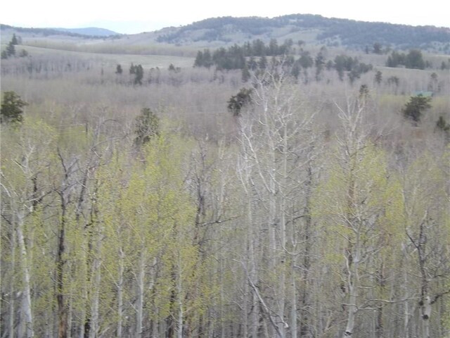 824 Palmer Peak Dr, Fairplay, CO 80440 - photo 29