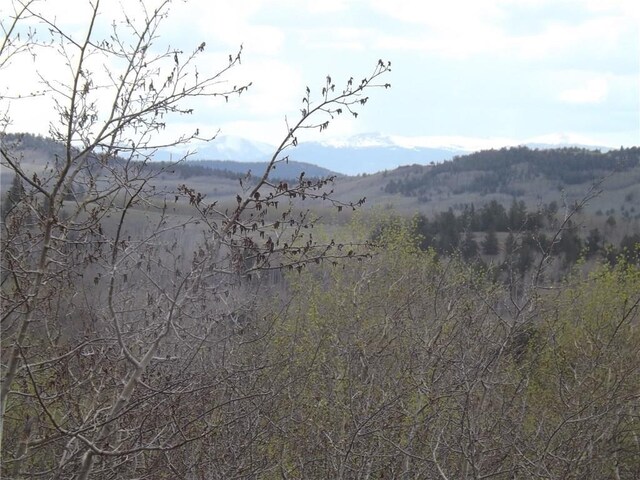 824 Palmer Peak Dr, Fairplay, CO 80440 - photo 31