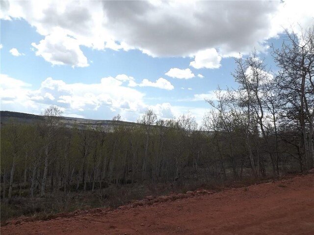 824 Palmer Peak Dr, Fairplay, CO 80440 - photo 37