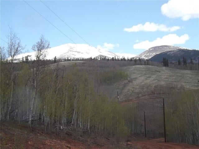 824 Palmer Peak Dr, Fairplay, CO 80440 - photo 32