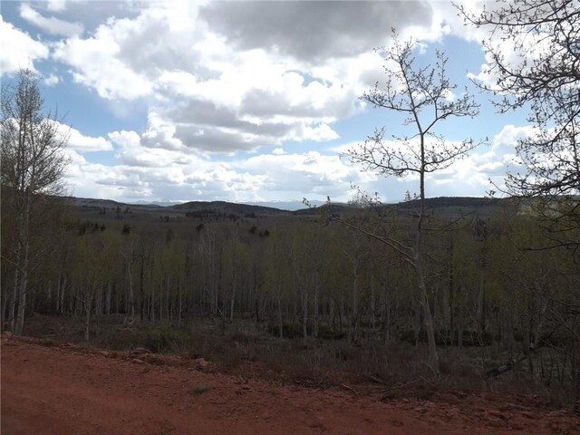 824 Palmer Peak Dr, Fairplay, CO 80440 - photo 39