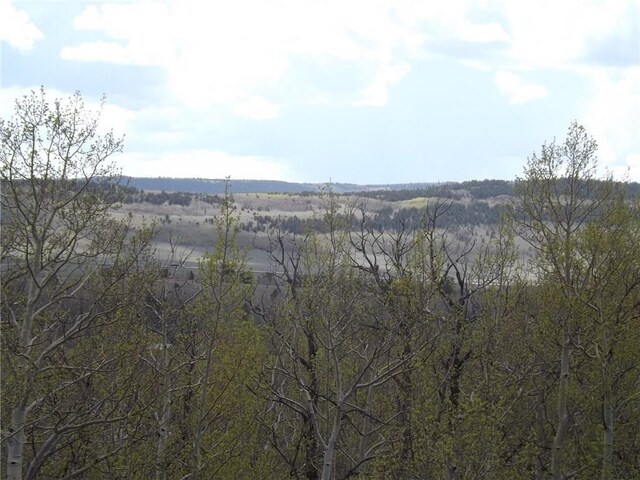 824 Palmer Peak Dr, Fairplay, CO 80440 - photo 38