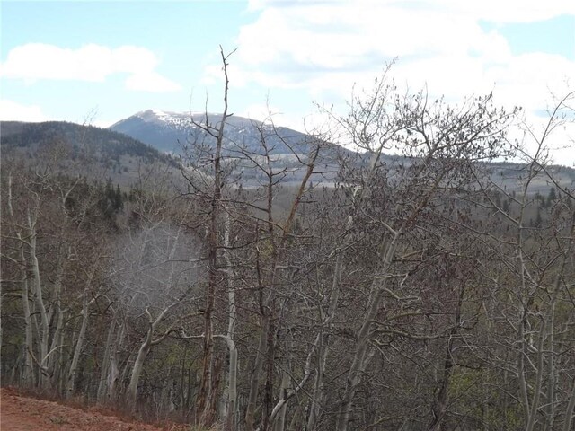 824 Palmer Peak Dr, Fairplay, CO 80440 - photo 30