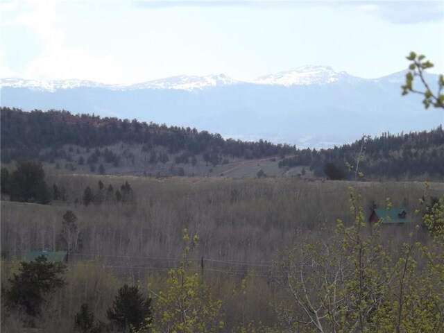 824 Palmer Peak Dr, Fairplay, CO 80440 - photo 4