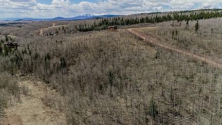 824 Palmer Peak Dr, Fairplay, CO 80440 - photo 24