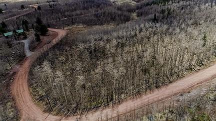 824 Palmer Peak Dr, Fairplay, CO 80440 - photo 5
