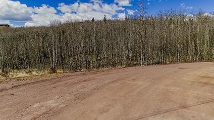 824 Palmer Peak Dr, Fairplay, CO 80440 - photo 12
