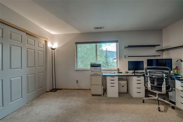 295 Kestrel Ln Unit 295, Silverthorne, CO 80498 - photo 20