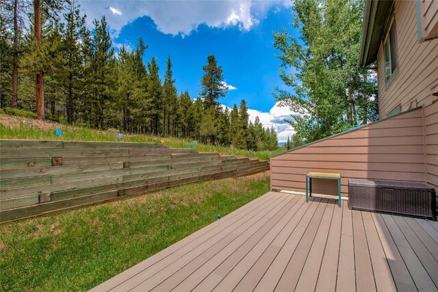 295 Kestrel Ln Unit 295, Silverthorne, CO 80498 - photo 4
