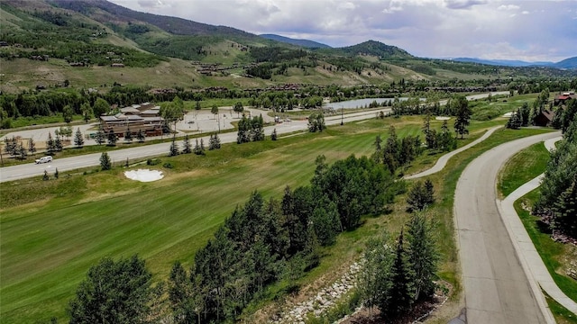 295 Kestrel Ln Unit 295, Silverthorne, CO 80498 - photo 26
