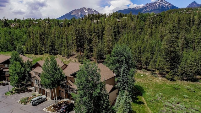 295 Kestrel Ln Unit 295, Silverthorne, CO 80498 - photo 27