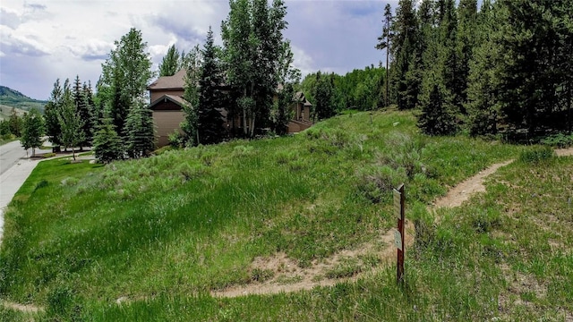 295 Kestrel Ln Unit 295, Silverthorne, CO 80498 - photo 30