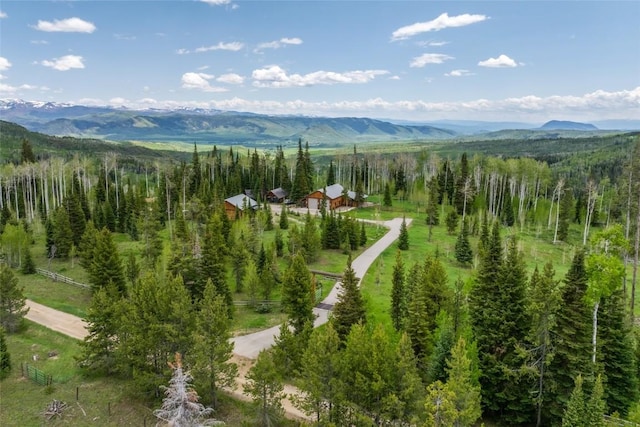 24100 Cottonwood Rd N, Clark, CO 80428 - mountain view with a heavily wooded area