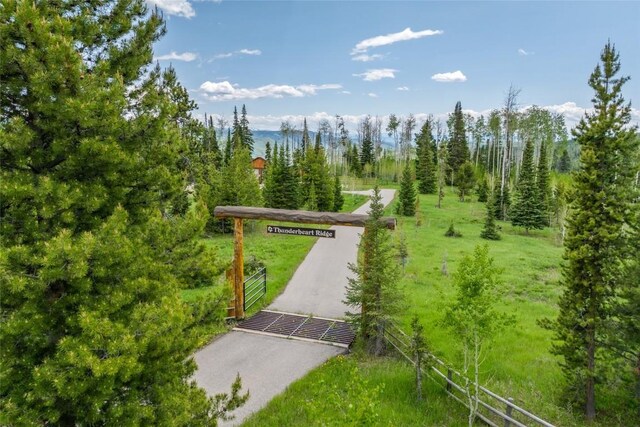 24100 Cottonwood Rd N, Clark, CO 80428 - view of surrounding community
