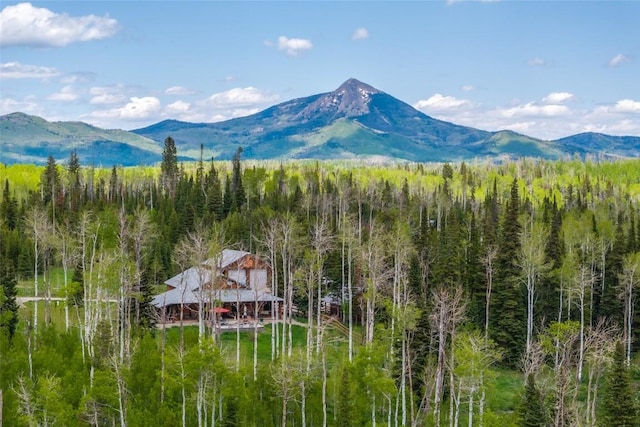 24100 Cottonwood Rd N, Clark, CO 80428 - view of mountain background with a heavily wooded area