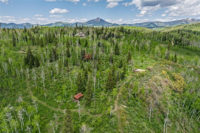24100 Cottonwood Rd N, Clark, CO 80428 - view of mountain background with a heavily wooded area
