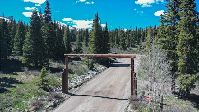 297 Robertson Ln, Breckenridge, CO 80424 - photo 32