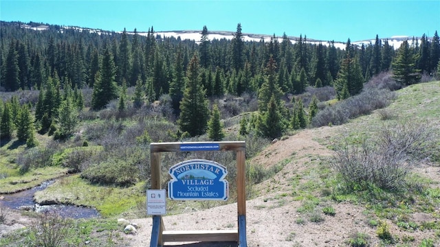 297 Robertson Ln, Breckenridge, CO 80424 - exterior view of a forest