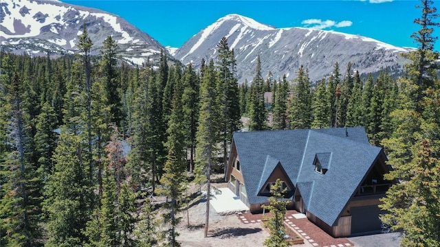 297 Robertson Ln, Breckenridge, CO 80424 - view of mountain background with a heavily wooded area