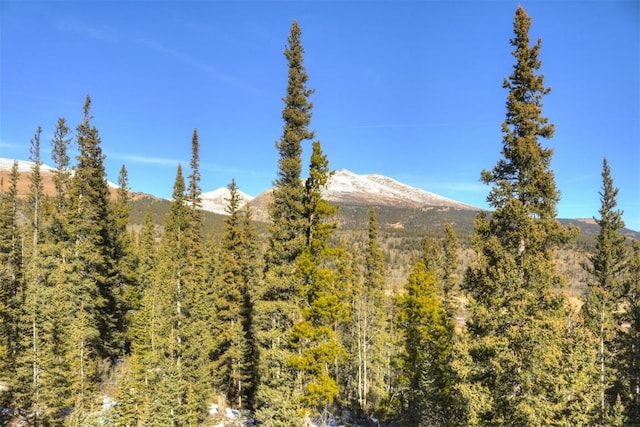 property view of mountains