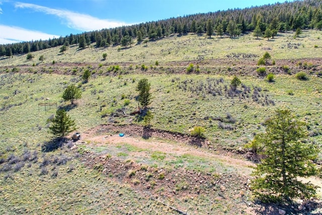 3525 Redhill Rd, Fairplay, CO 80440