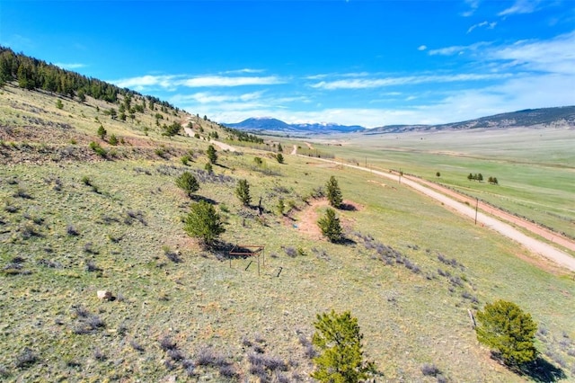 3525 Redhill Rd, Fairplay, CO 80440