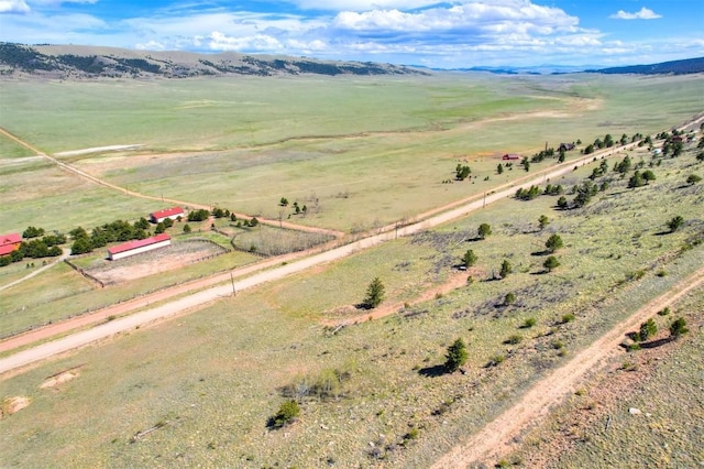 3525 Redhill Rd, Fairplay, CO 80440