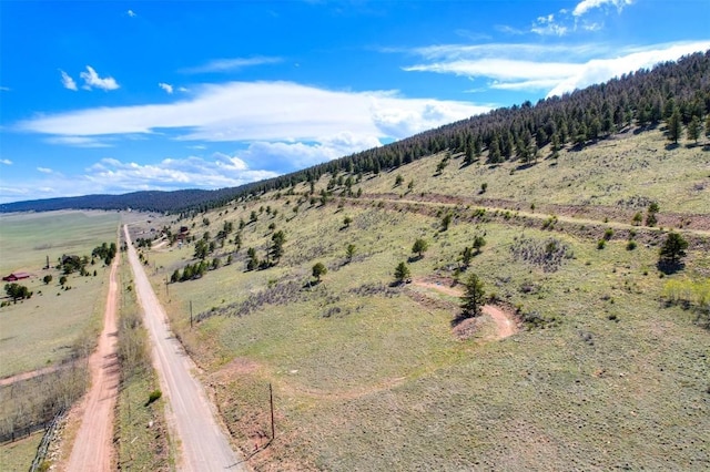 3525 Redhill Rd, Fairplay, CO 80440