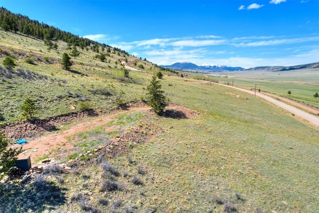 3525 Redhill Rd, Fairplay, CO 80440
