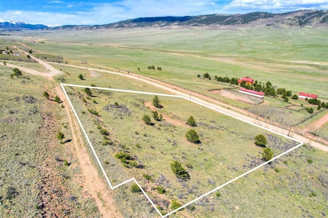 3525 Redhill Rd, Fairplay, CO 80440