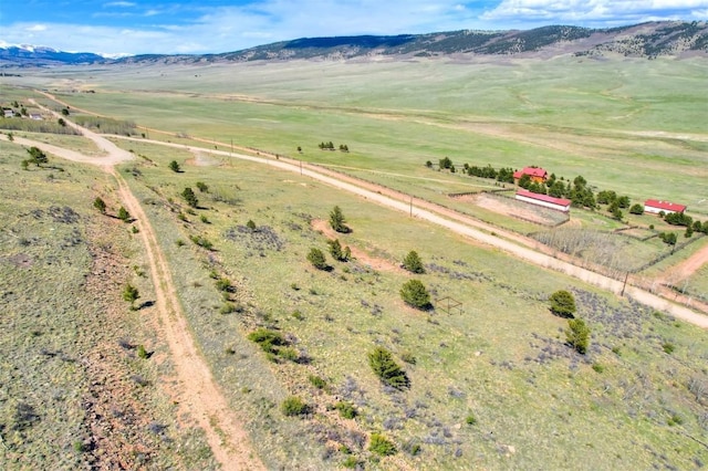 3525 Redhill Rd, Fairplay, CO 80440