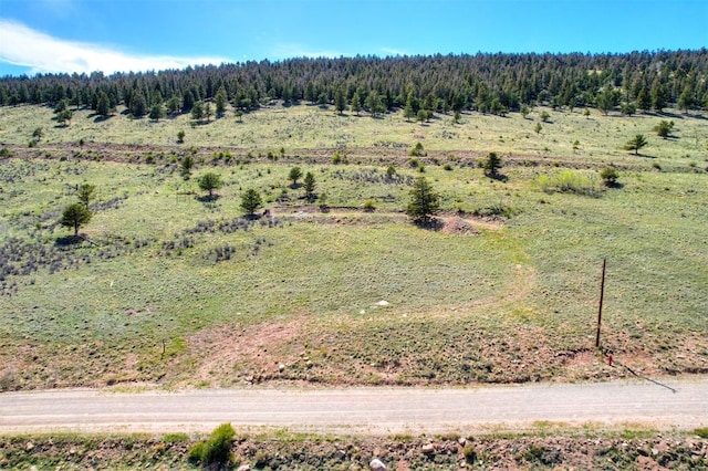 3525 Redhill Rd, Fairplay, CO 80440