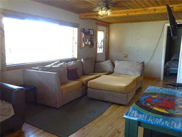 781 Hathaway St, Fairplay, CO 80440 - photo 9