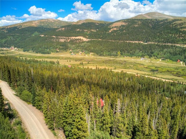 1314 Quartzville Rd, Alma, CO 80440 - photo 1