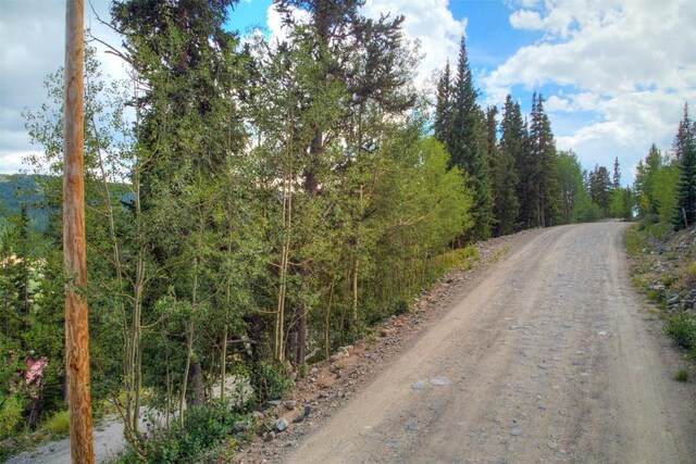 1314 Quartzville Rd, Alma, CO 80440 - photo 3