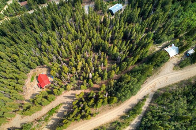 1314 Quartzville Rd, Alma, CO 80440 - photo 2