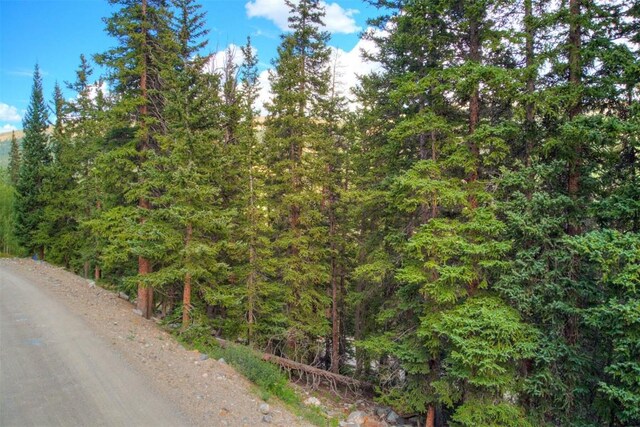 1314 Quartzville Rd, Alma, CO 80440 - photo 5