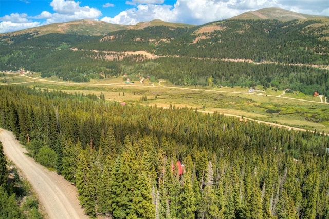 1314 Quartzville Rd, Alma, CO 80440 - photo 8