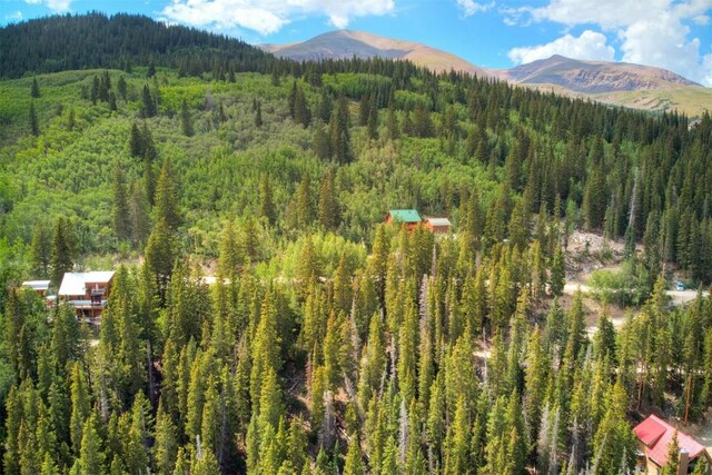 1314 Quartzville Rd, Alma, CO 80440 - photo 13