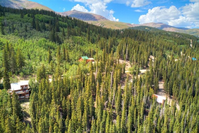 1314 Quartzville Rd, Alma, CO 80440 - photo 12