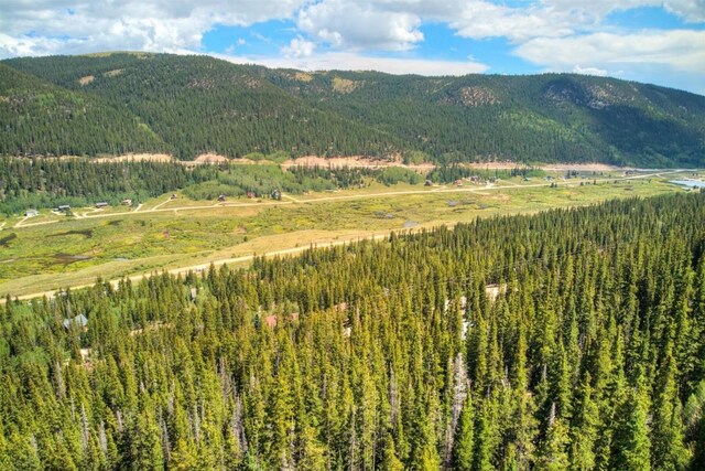 1314 Quartzville Rd, Alma, CO 80440 - photo 7