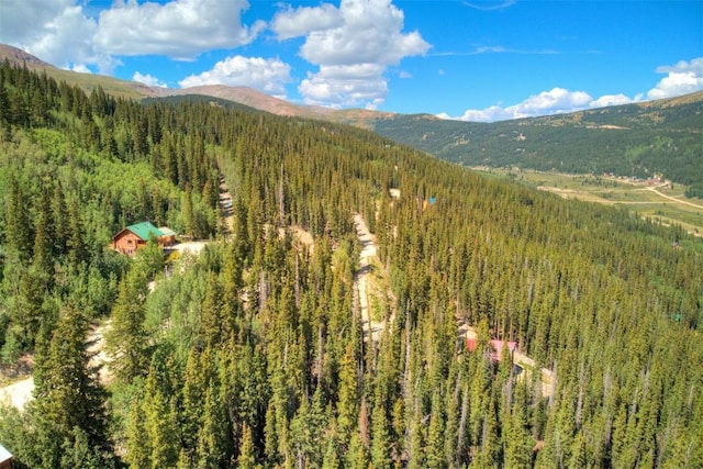 1314 Quartzville Rd, Alma, CO 80440 - photo 10