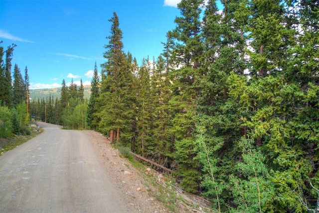1314 Quartzville Rd, Alma, CO 80440 - photo 4