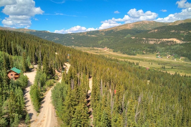 1314 Quartzville Rd, Alma, CO 80440 - photo 9