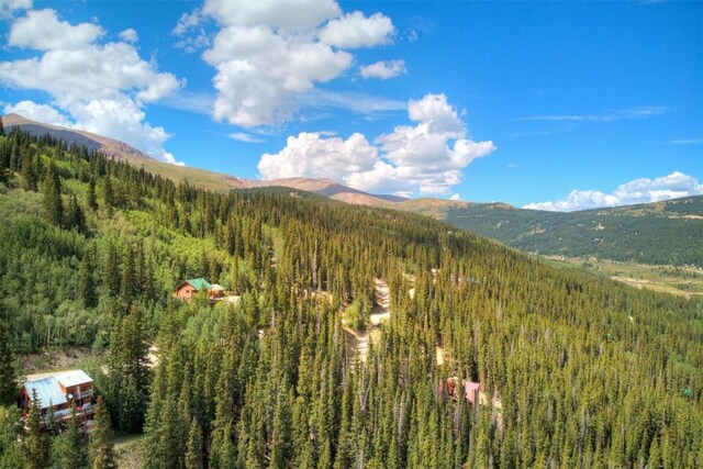 1314 Quartzville Rd, Alma, CO 80440 - photo 11
