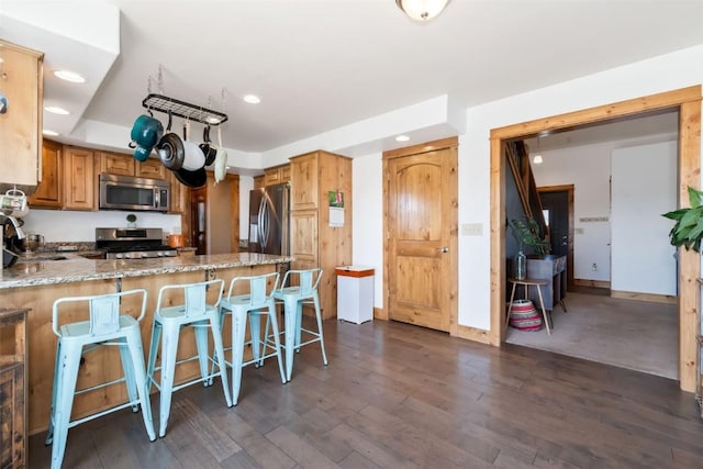 336 Starlite Ln, Hayden, CO 81639 - kitchen featuring stainless steel appliances, recessed lighting, dark wood-style floors, light stone countertops, and a peninsula