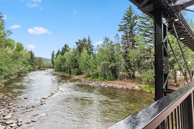 421 Rainbow Dr Unit 2, Silverthorne, CO 80498 - photo 33