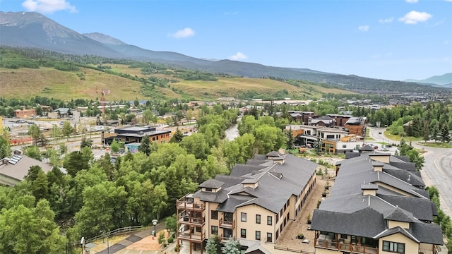 421 Rainbow Dr Unit 2, Silverthorne, CO 80498 - photo 30